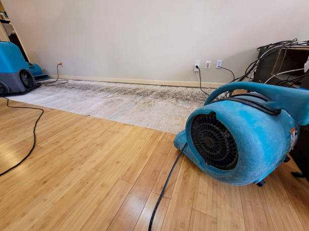 Professional Water Damage Repair technician working in Owosso, MI